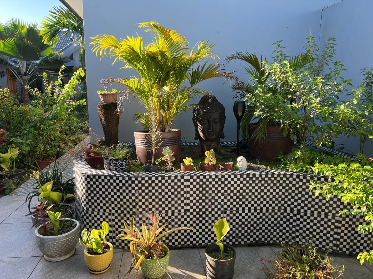Pasifika Guesthouse Nadi Esterno foto